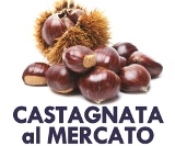 Castagnata_Lecco_24ottobre2015