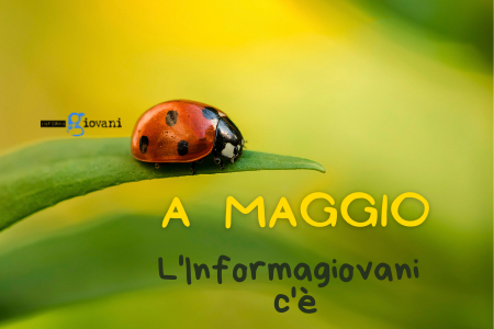 Maggio Ig sito