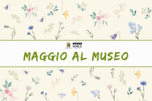 Maggio al Museo